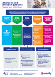 Animal Health Wound Infection