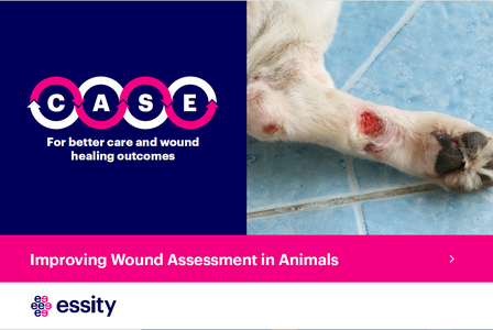 Improving Wound Assessment in Animals