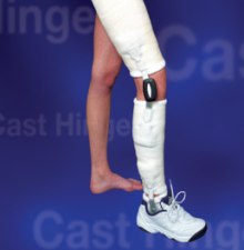 Monopivotal Cast Hinge and Mechanism